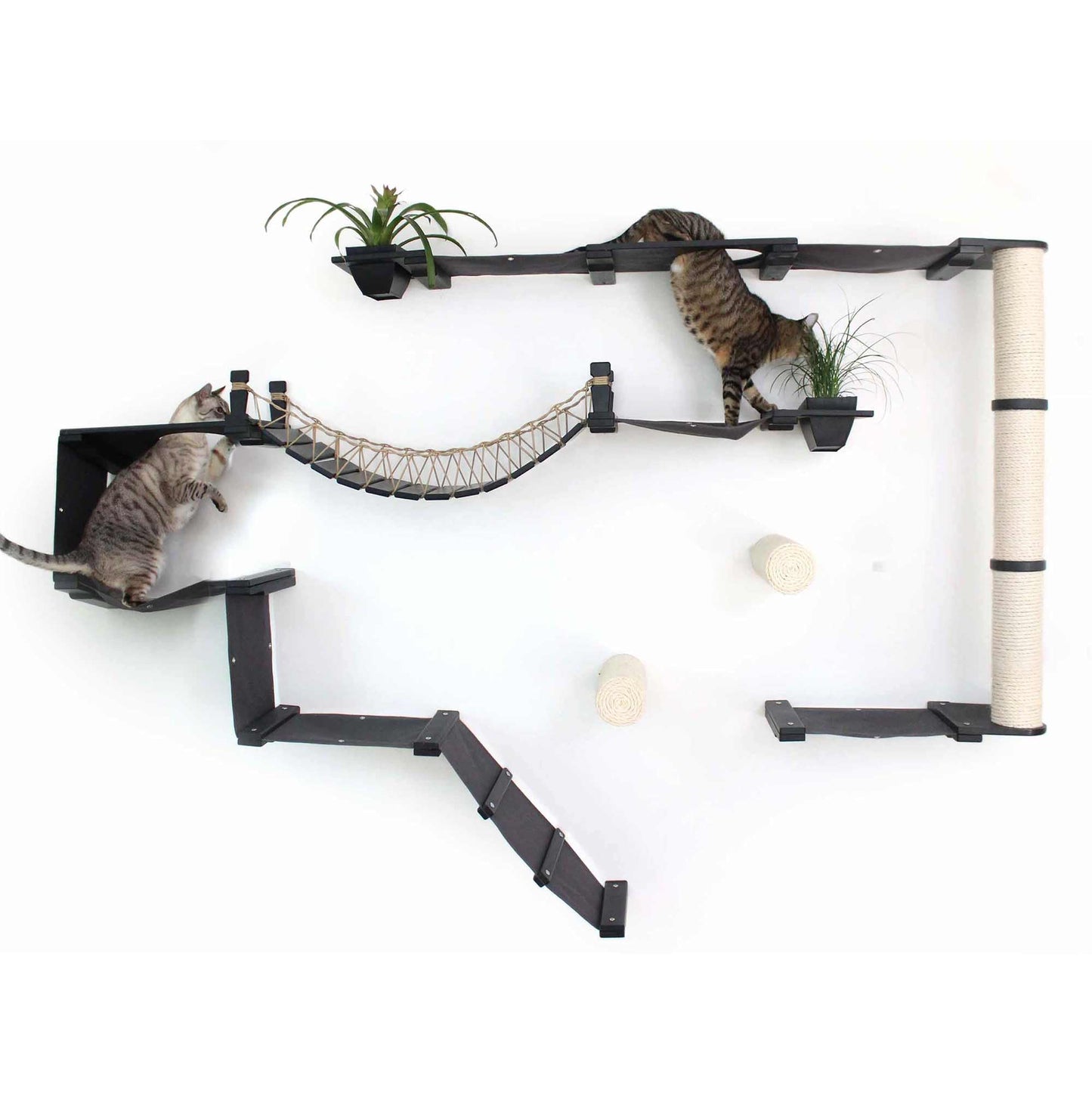 Natural Bamboo Canvas Cat Wall Furniture Set Modern Condo