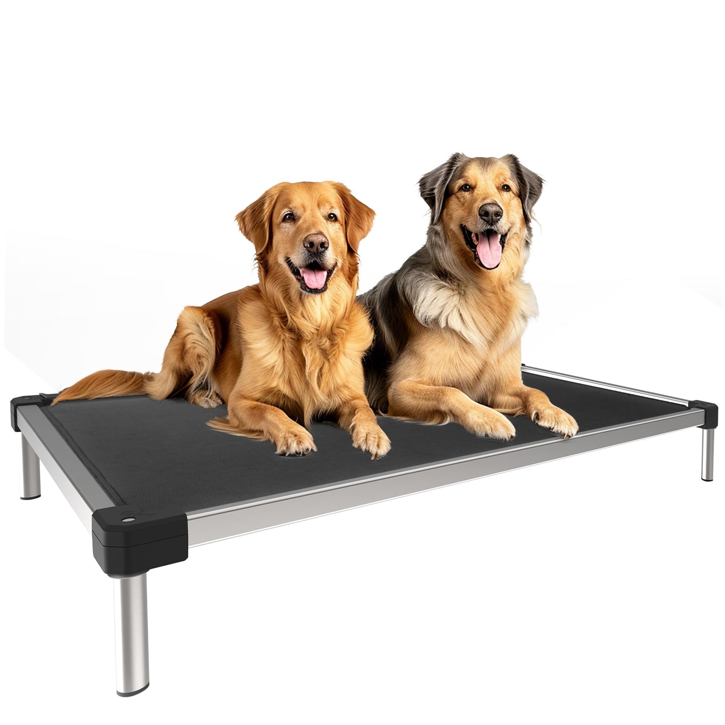 Chew Proof Elevated Dog Bed Raised Cooling Cot Waterproof