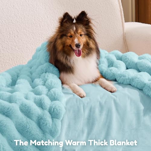 Human Dog Bed Updated