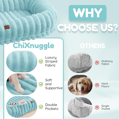 Human Dog Bed Updated