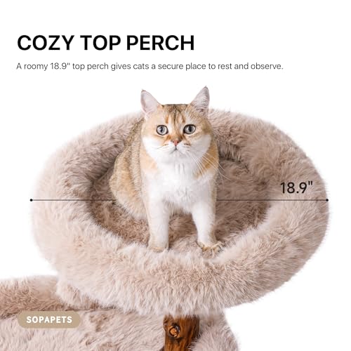Solid Wood Cat Tree Tall Condo Scratching Post Large Cats