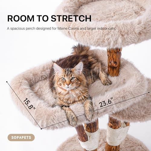 Solid Wood Cat Tree Tall Condo Scratching Post Large Cats