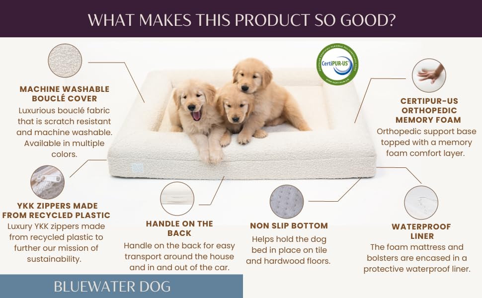 Bluewater Dog Boucle Orthopedic Memory Foam Bed with Machine Washable Boucle Cover and Waterproof Liner