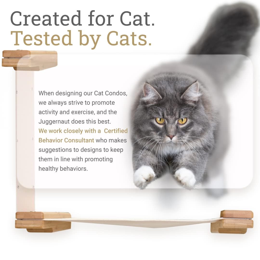 Natural Bamboo Canvas Cat Wall Furniture Set Modern Condo