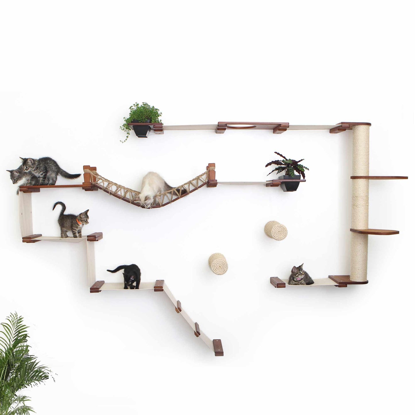 Natural Bamboo Canvas Cat Wall Furniture Set Modern Condo