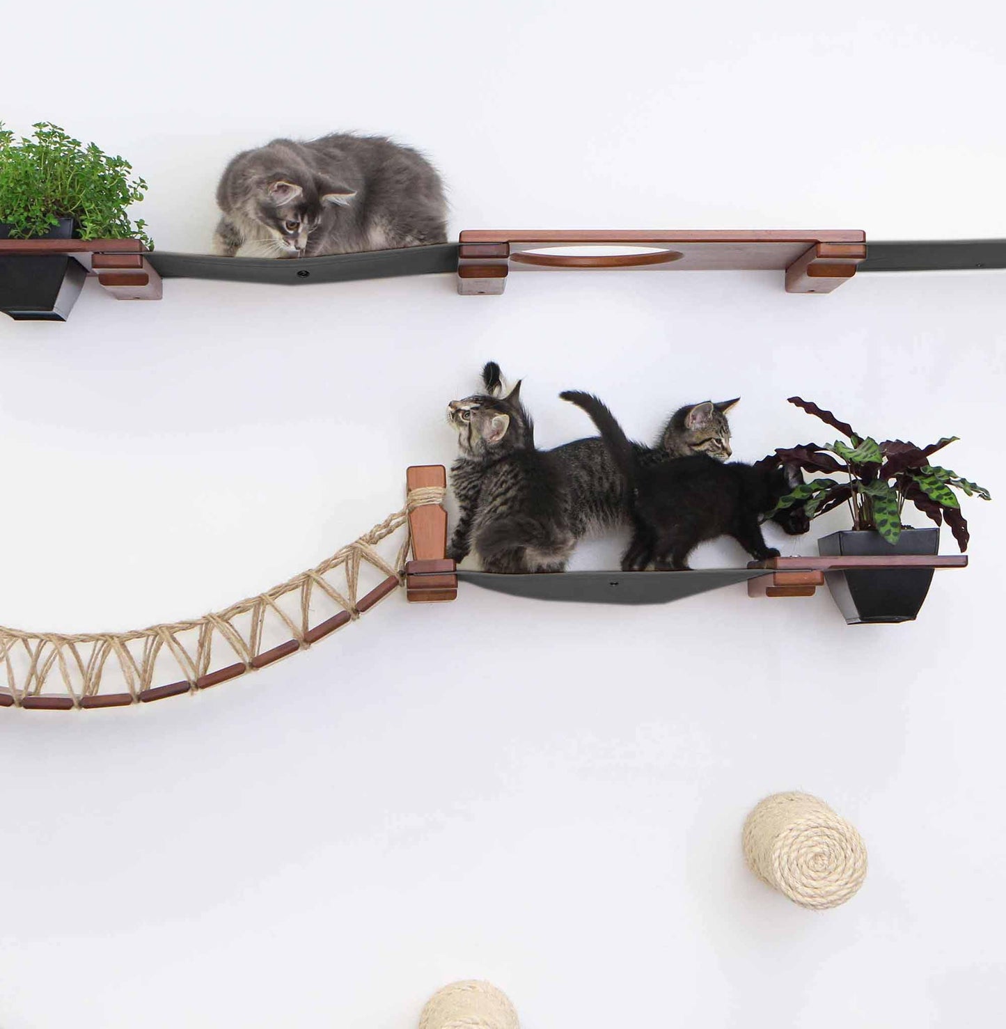 Natural Bamboo Canvas Cat Wall Furniture Set Modern Condo