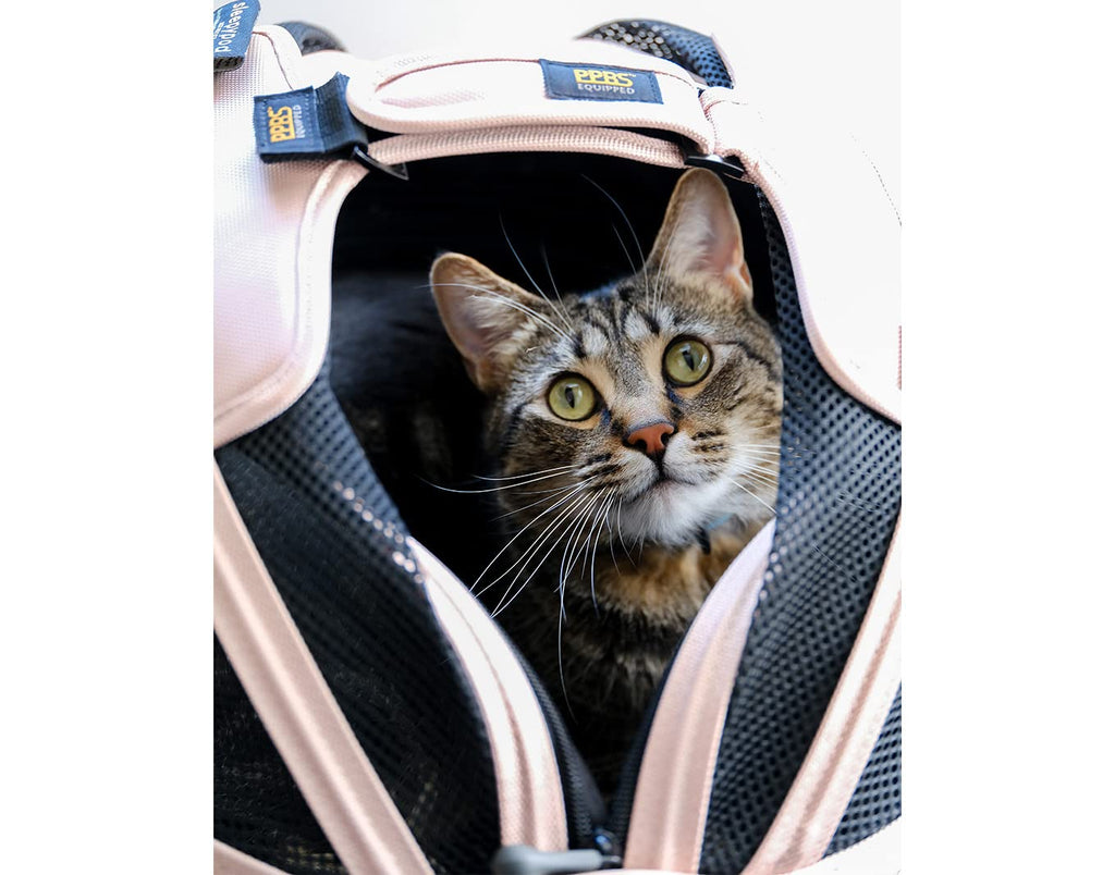 sleepypod Mobile Pet Bed