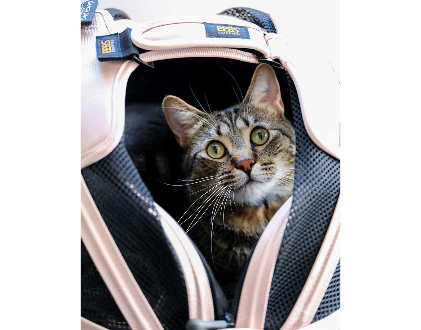 sleepypod Mobile Pet Bed