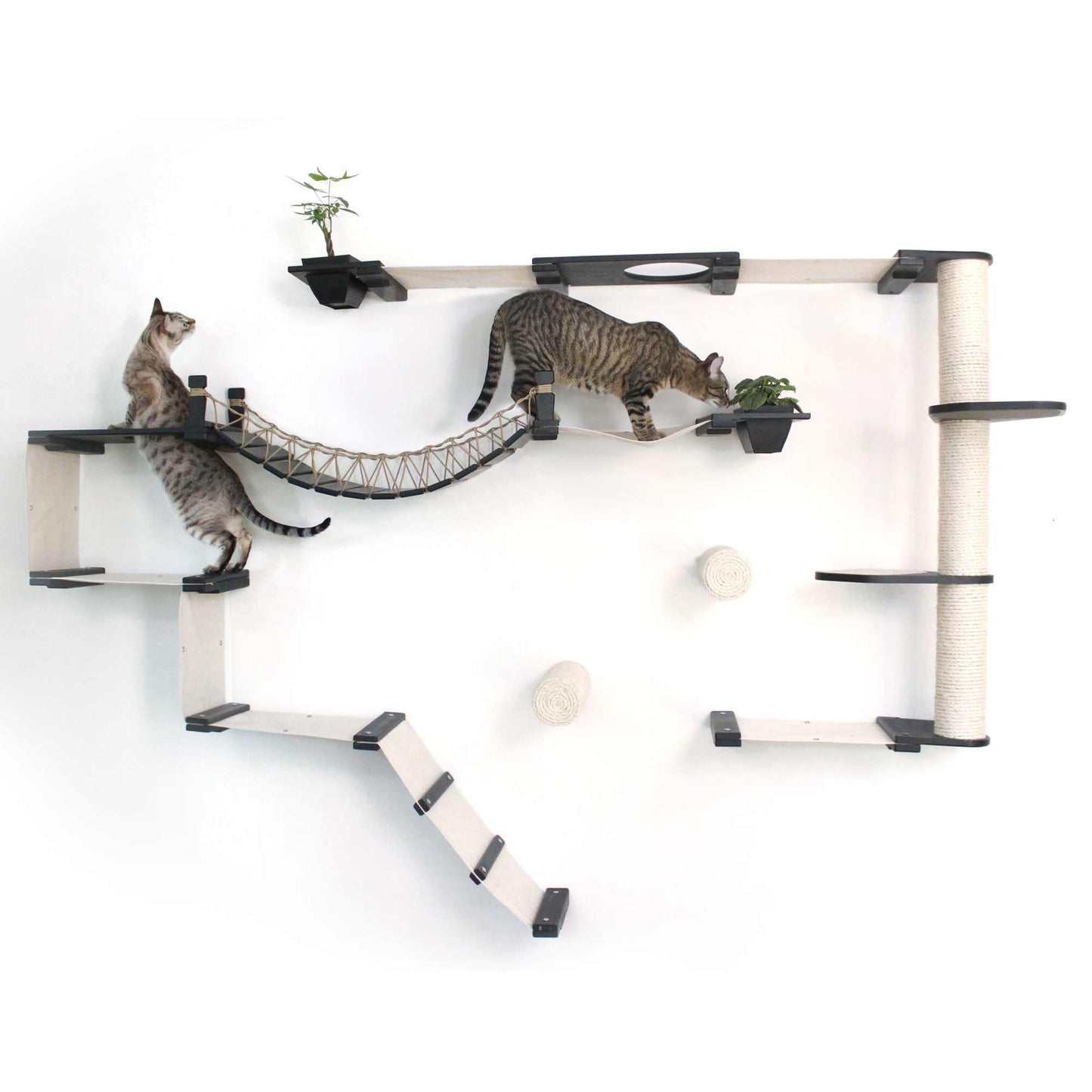 Natural Bamboo Canvas Cat Wall Furniture Set Modern Condo