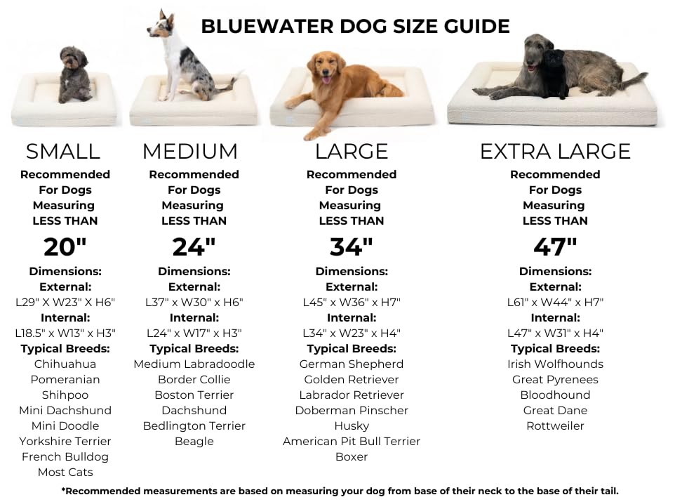 Bluewater Dog Boucle Orthopedic Memory Foam Bed with Machine Washable Boucle Cover and Waterproof Liner