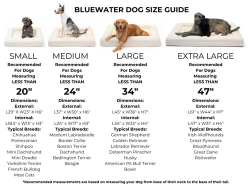 Bluewater Dog Boucle Orthopedic Memory Foam Bed with Machine Washable Boucle Cover and Waterproof Liner
