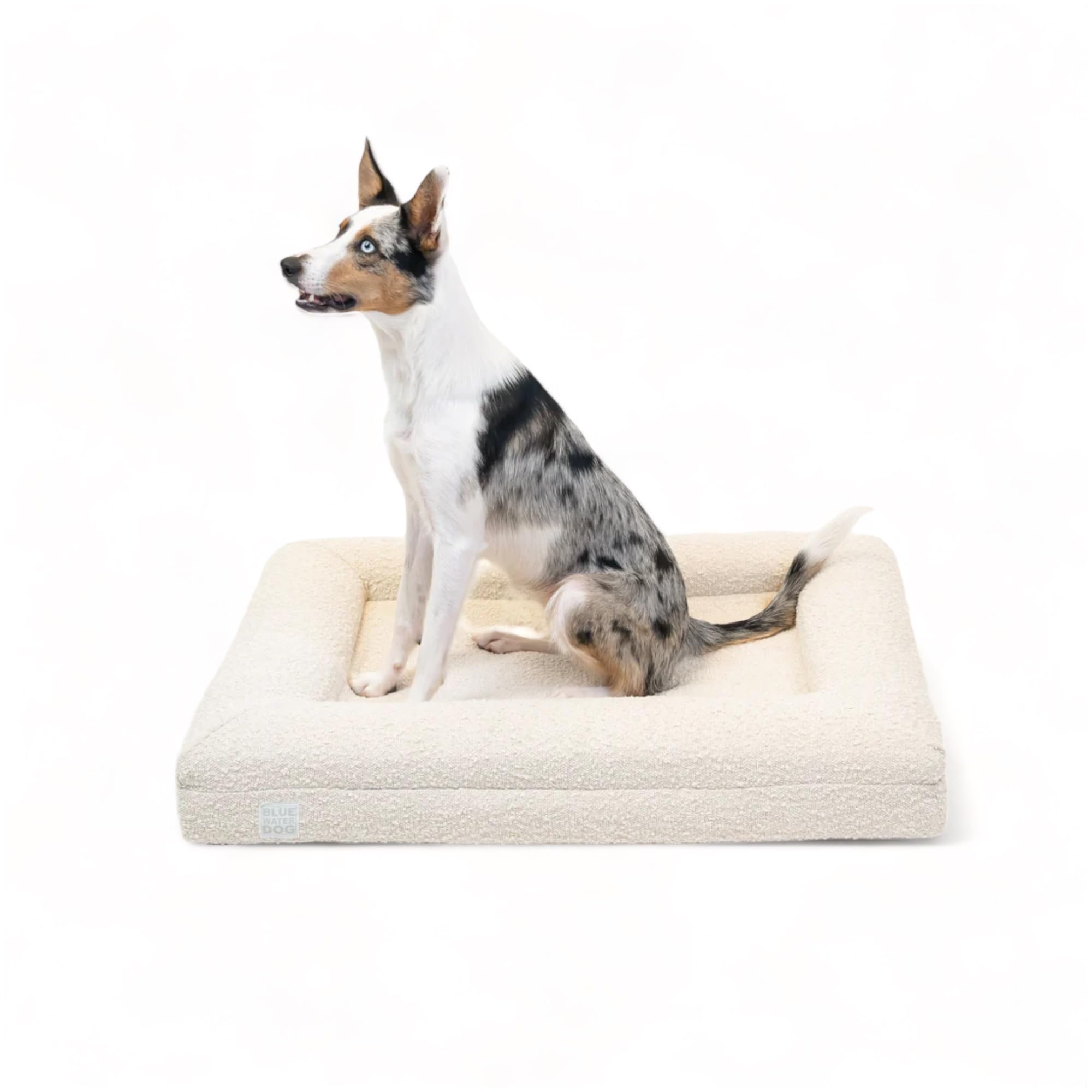 Bluewater Dog Boucle Orthopedic Memory Foam Bed with Machine Washable Boucle Cover and Waterproof Liner