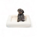 Bluewater Dog Boucle Orthopedic Memory Foam Bed with Machine Washable Boucle Cover and Waterproof Liner