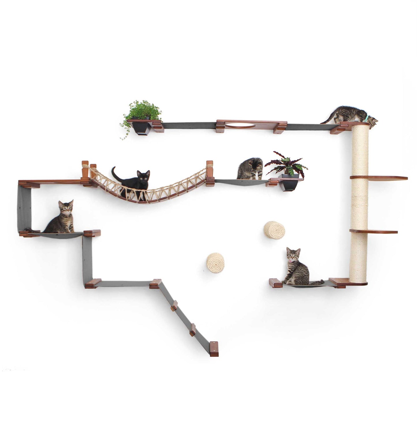 Natural Bamboo Canvas Cat Wall Furniture Set Modern Condo