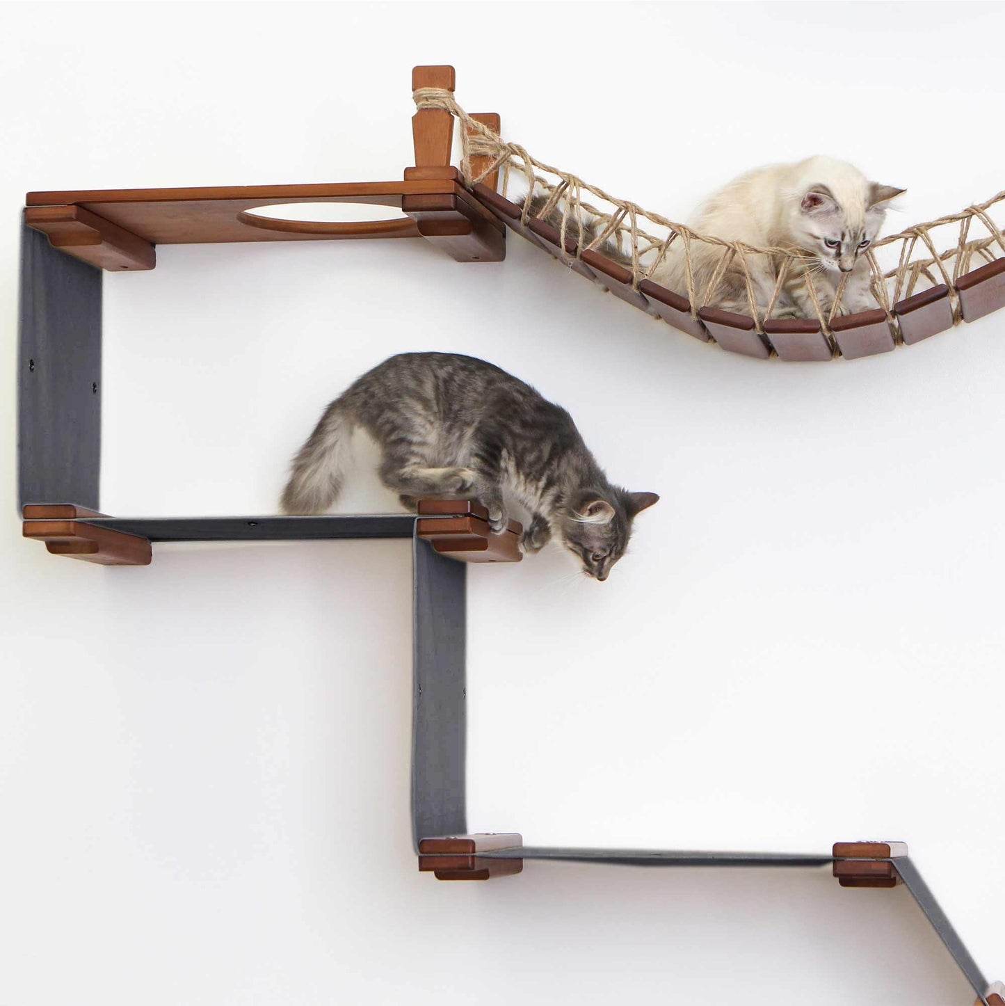 Natural Bamboo Canvas Cat Wall Furniture Set Modern Condo