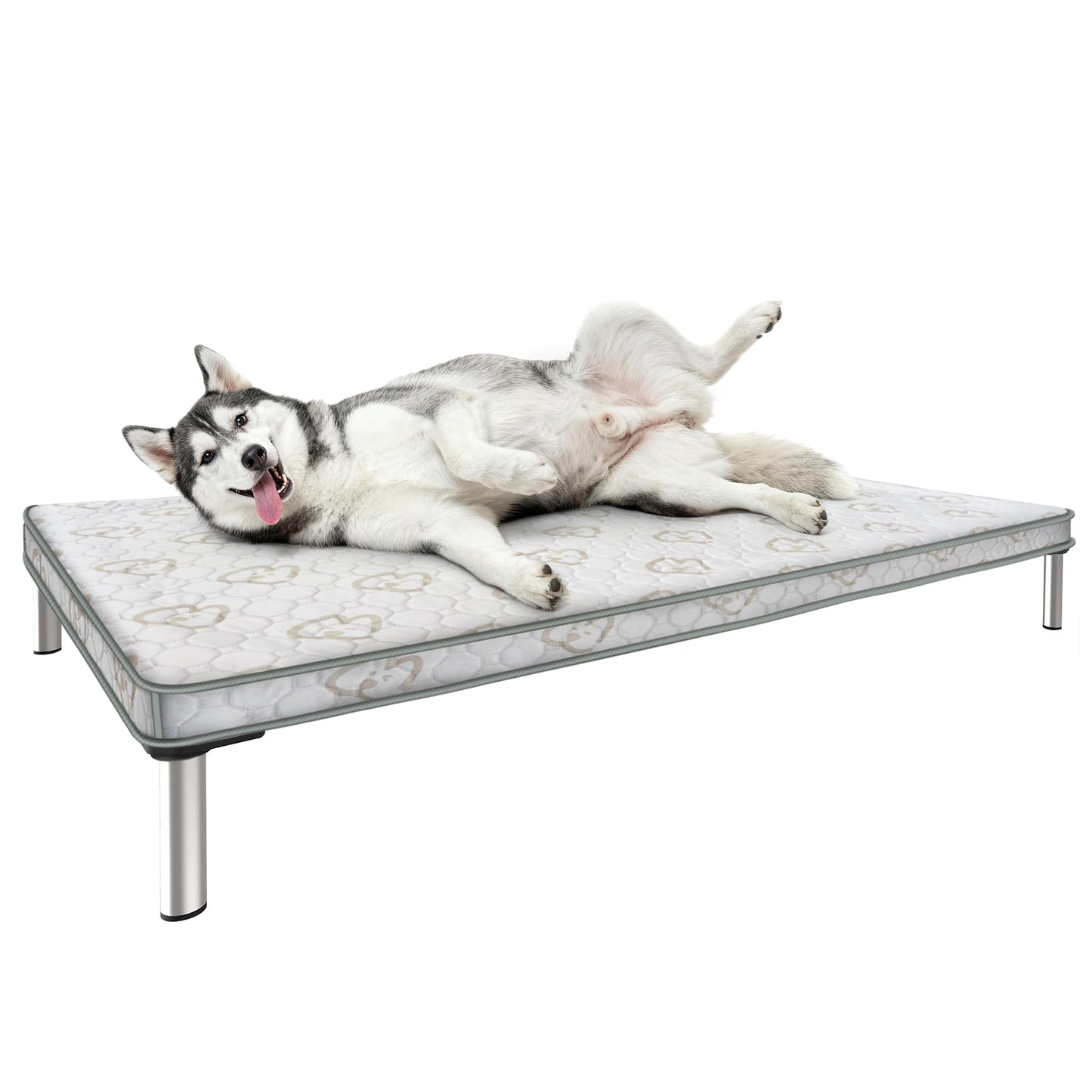 Chew Proof Elevated Dog Bed Raised Cooling Cot Waterproof