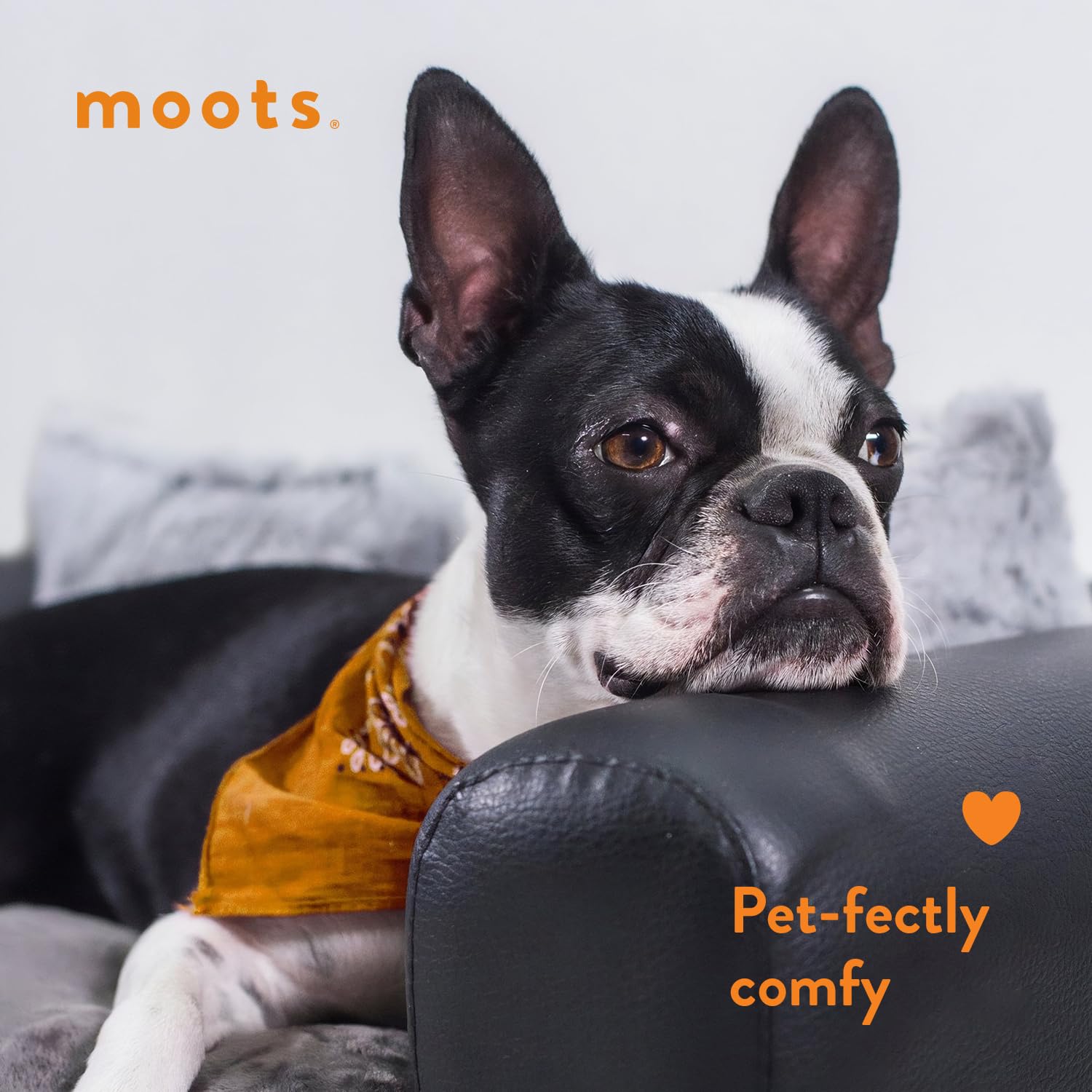 Leatherette Pet Bed V2