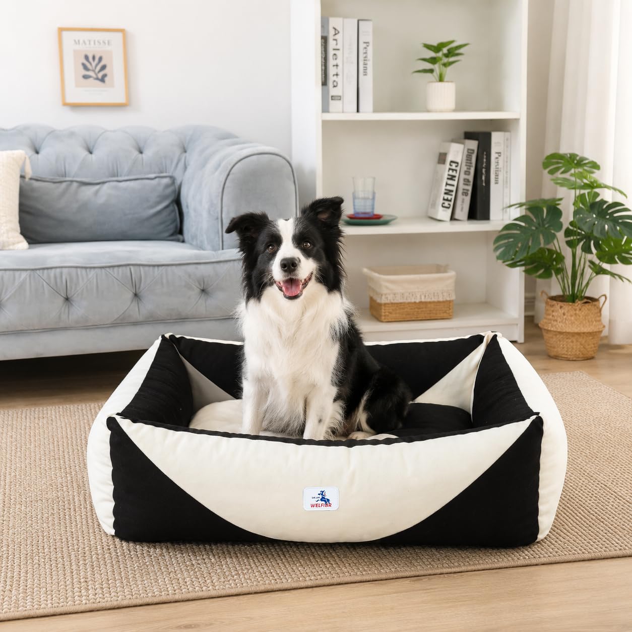 Welfibr Cotton Canvas Dog Bed, Cute Dog Beds, Puppy Bed with Washable Removable Cover, Durable 290 GSM Cotton Anti-Chewing Pet Bed with Anti-Slip Bottom