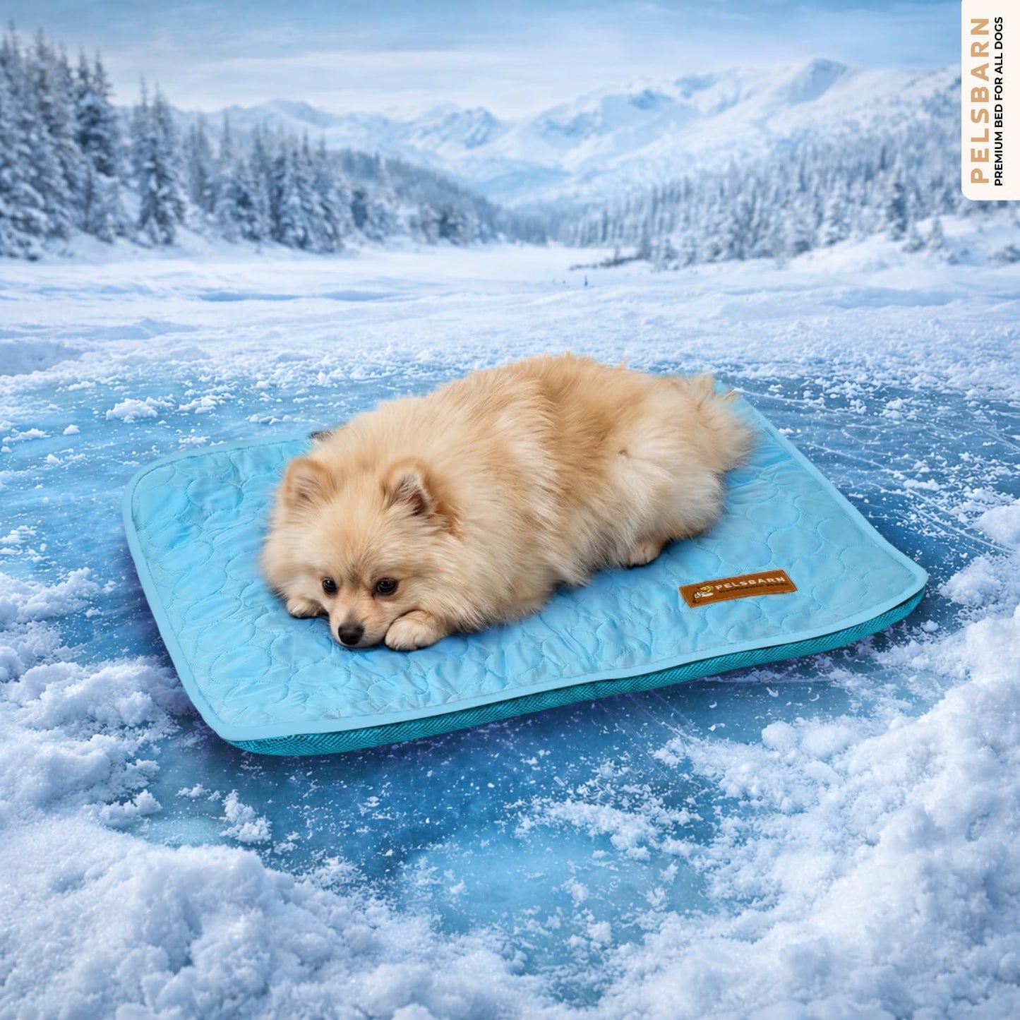 Cooling Dog Mat Ice Silk Self Cooling Non-Slip Washable