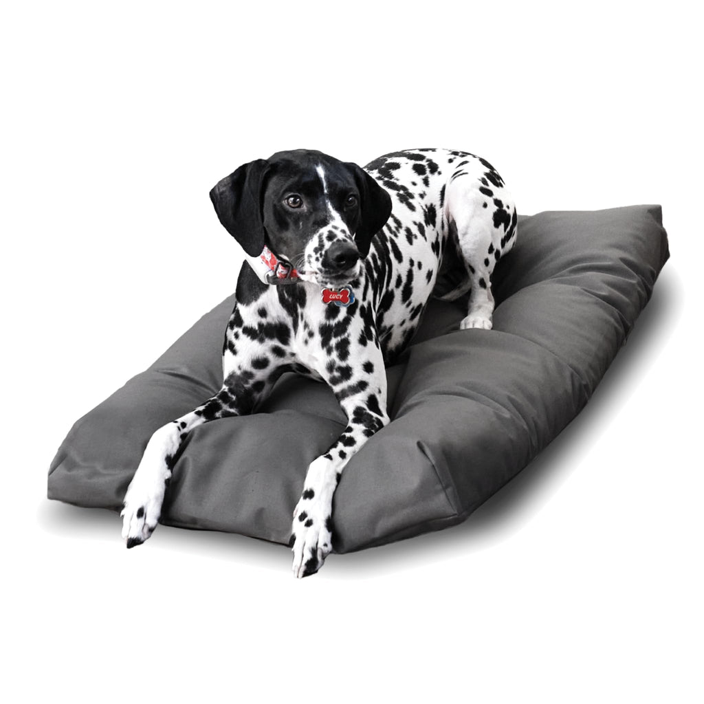 Naturepedic Organic Pet Bed & Pet Bed Cover - Parent