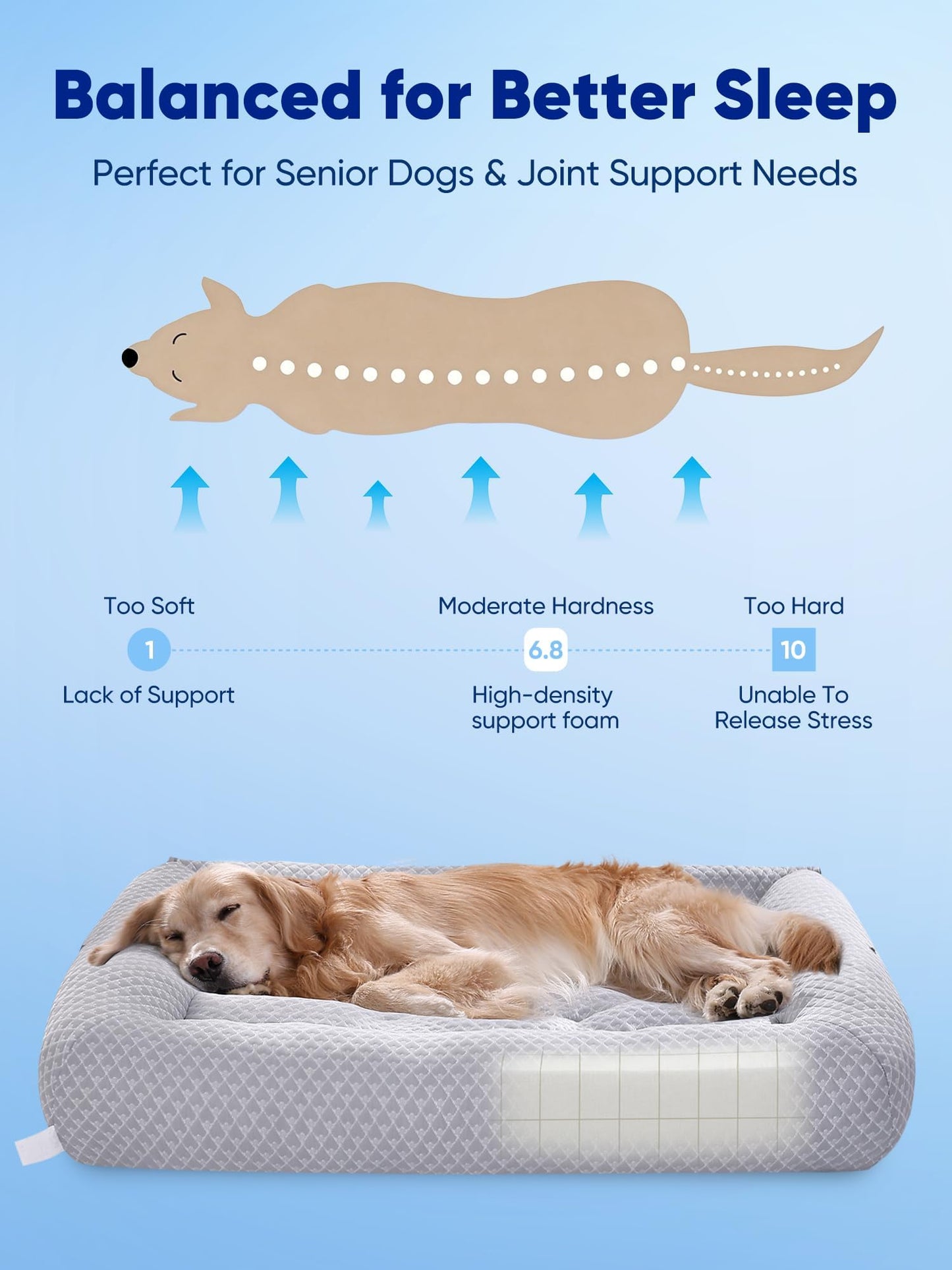 Cooling Orthopedic Dog Bed 3-in-1 Adjustable Mat