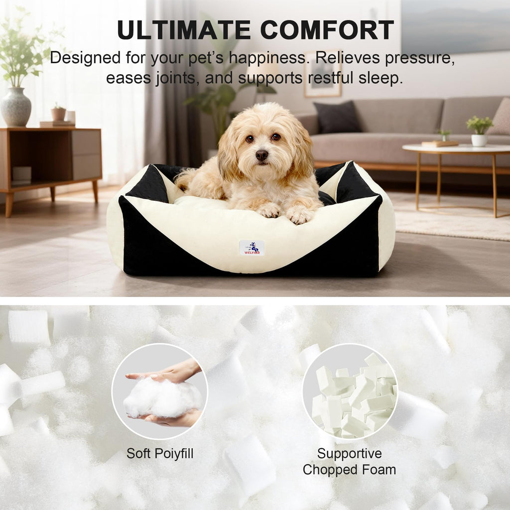 Welfibr Cotton Canvas Dog Bed, Cute Dog Beds, Puppy Bed with Washable Removable Cover, Durable 290 GSM Cotton Anti-Chewing Pet Bed with Anti-Slip Bottom