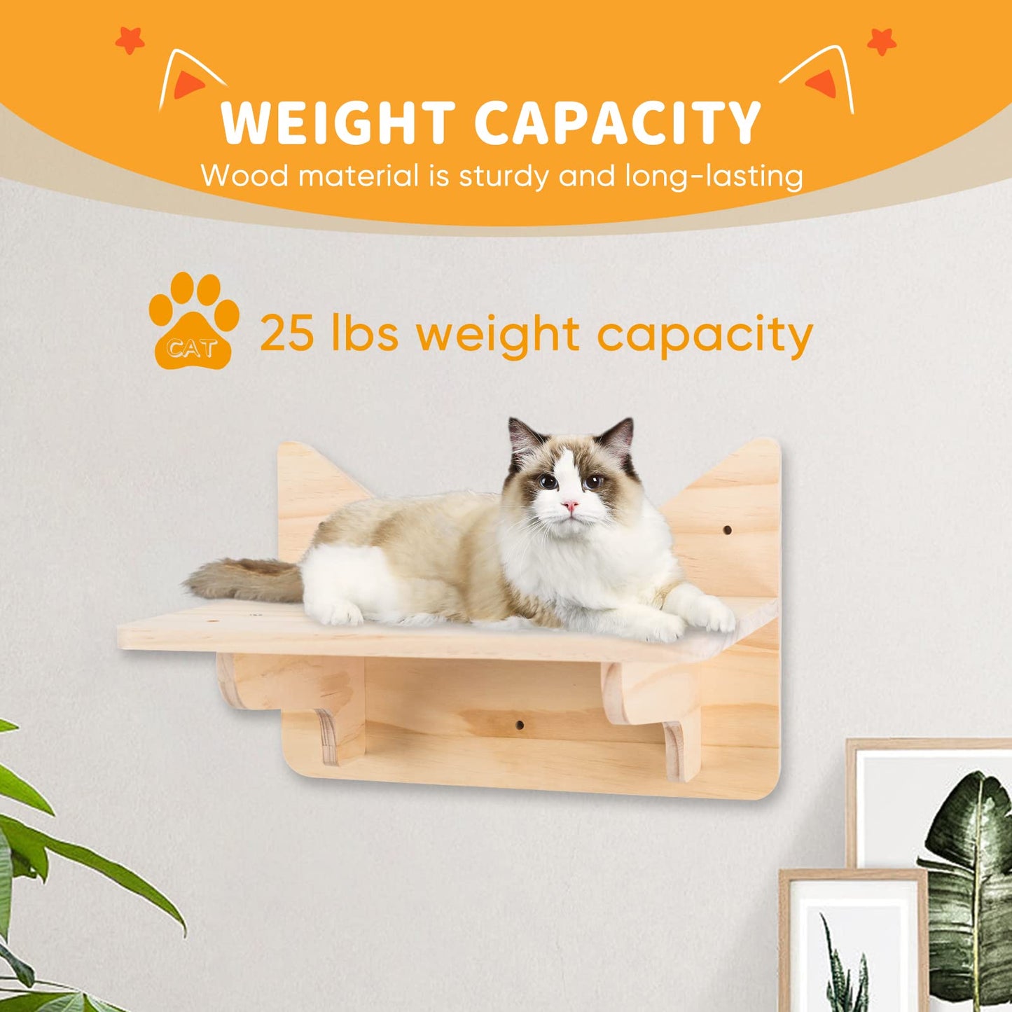 Wall Mounted Cat Shelves Perches Furniture Set Climbing