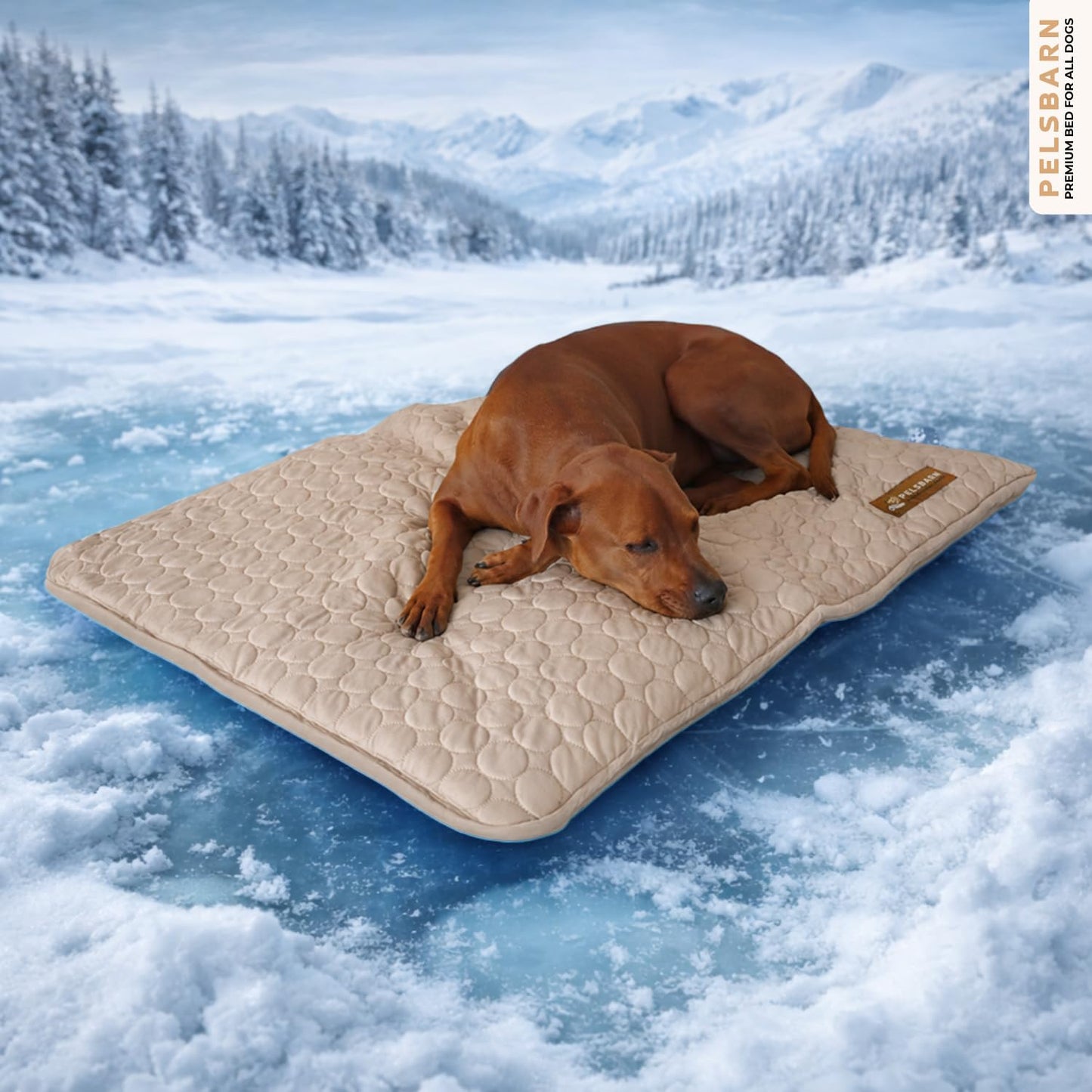 Cooling Dog Mat Ice Silk Self Cooling Non-Slip Washable