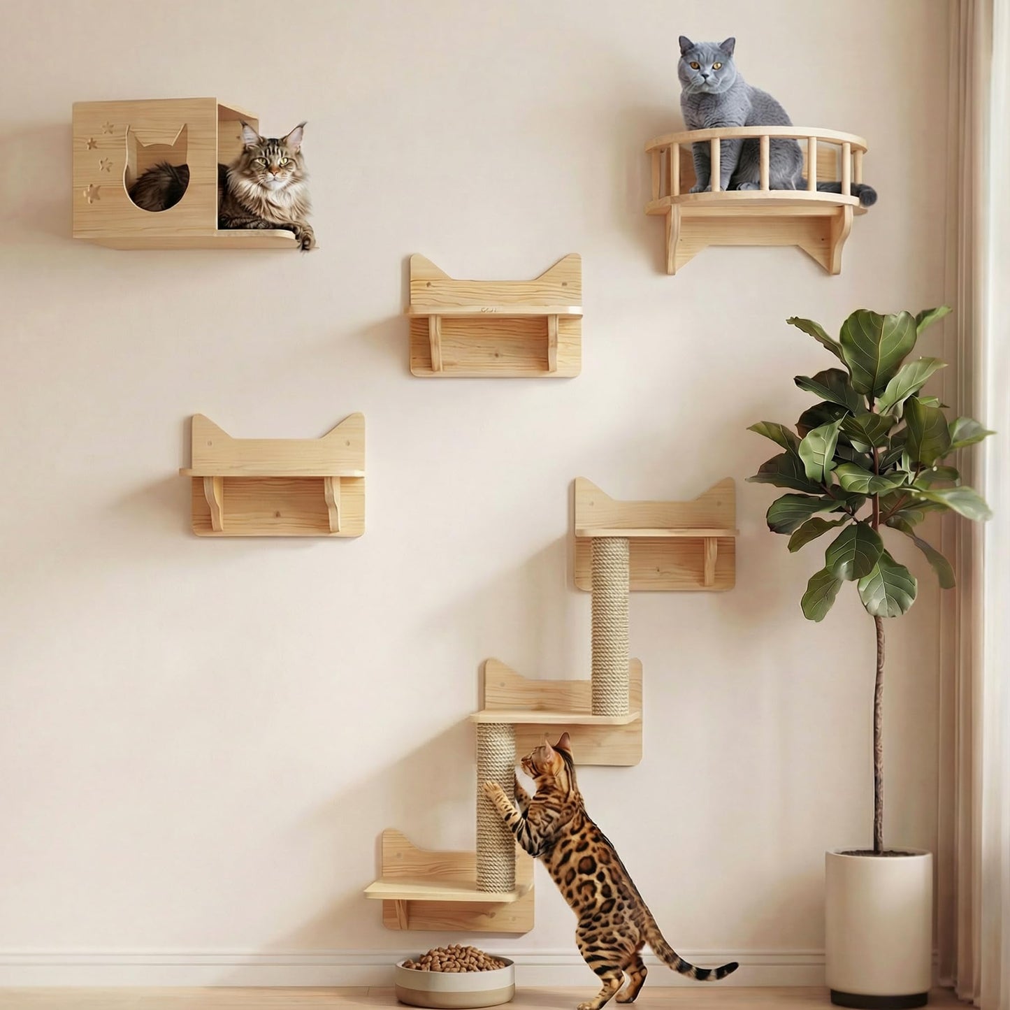 Wall Mounted Cat Shelves Perches Furniture Set Climbing