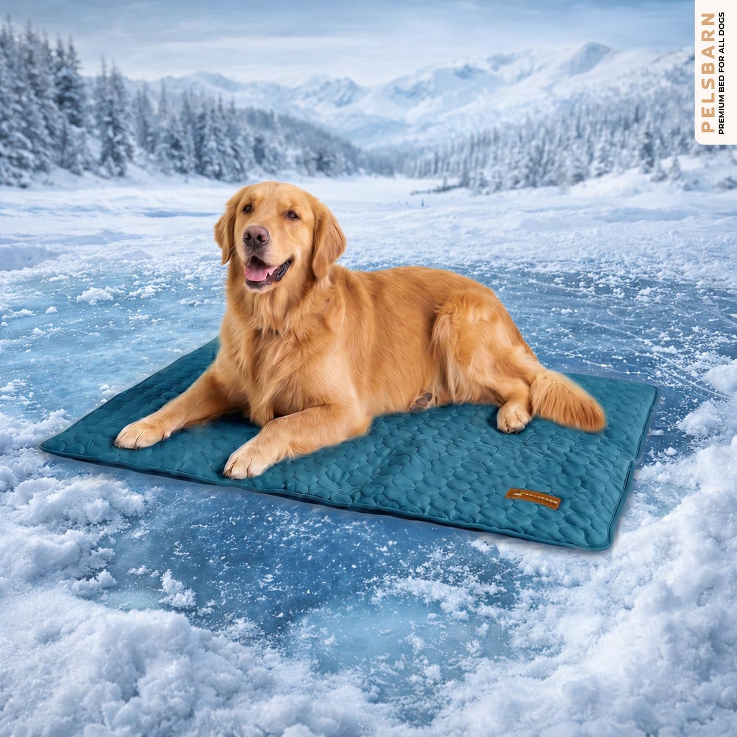 Cooling Dog Mat Ice Silk Self Cooling Non-Slip Washable