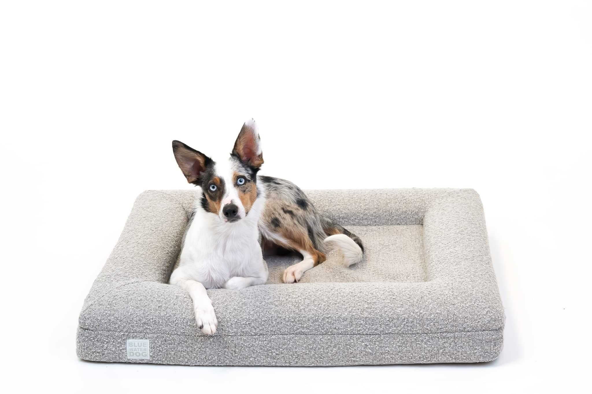 Bluewater Dog Boucle Orthopedic Memory Foam Bed with Machine Washable Boucle Cover and Waterproof Liner