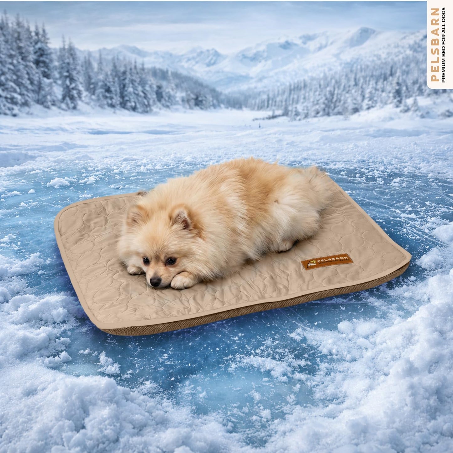 Cooling Dog Mat Ice Silk Self Cooling Non-Slip Washable