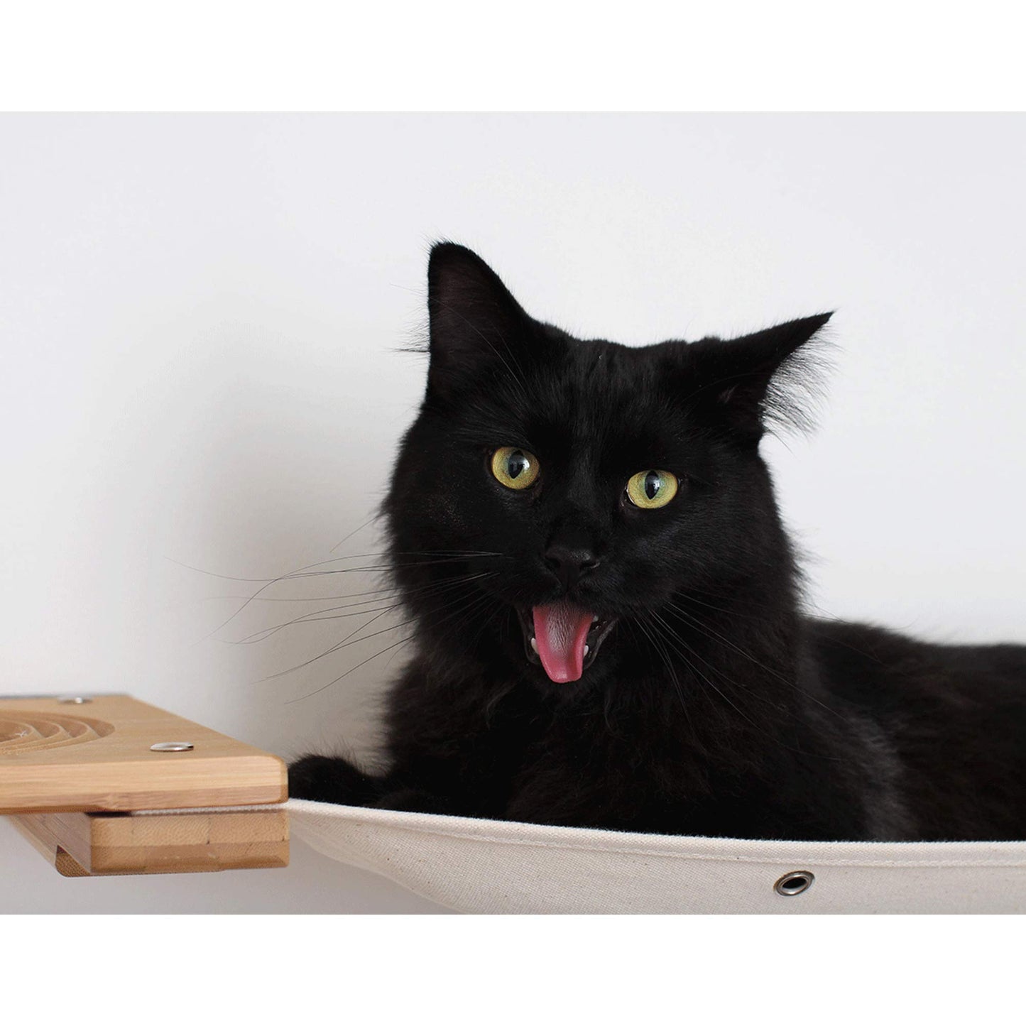 Modern Cat Condo Wall Bridge Hammock Scratching Poles