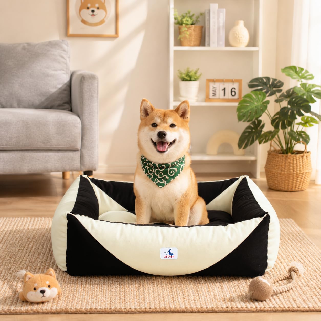Welfibr Cotton Canvas Dog Bed, Cute Dog Beds, Puppy Bed with Washable Removable Cover, Durable 290 GSM Cotton Anti-Chewing Pet Bed with Anti-Slip Bottom