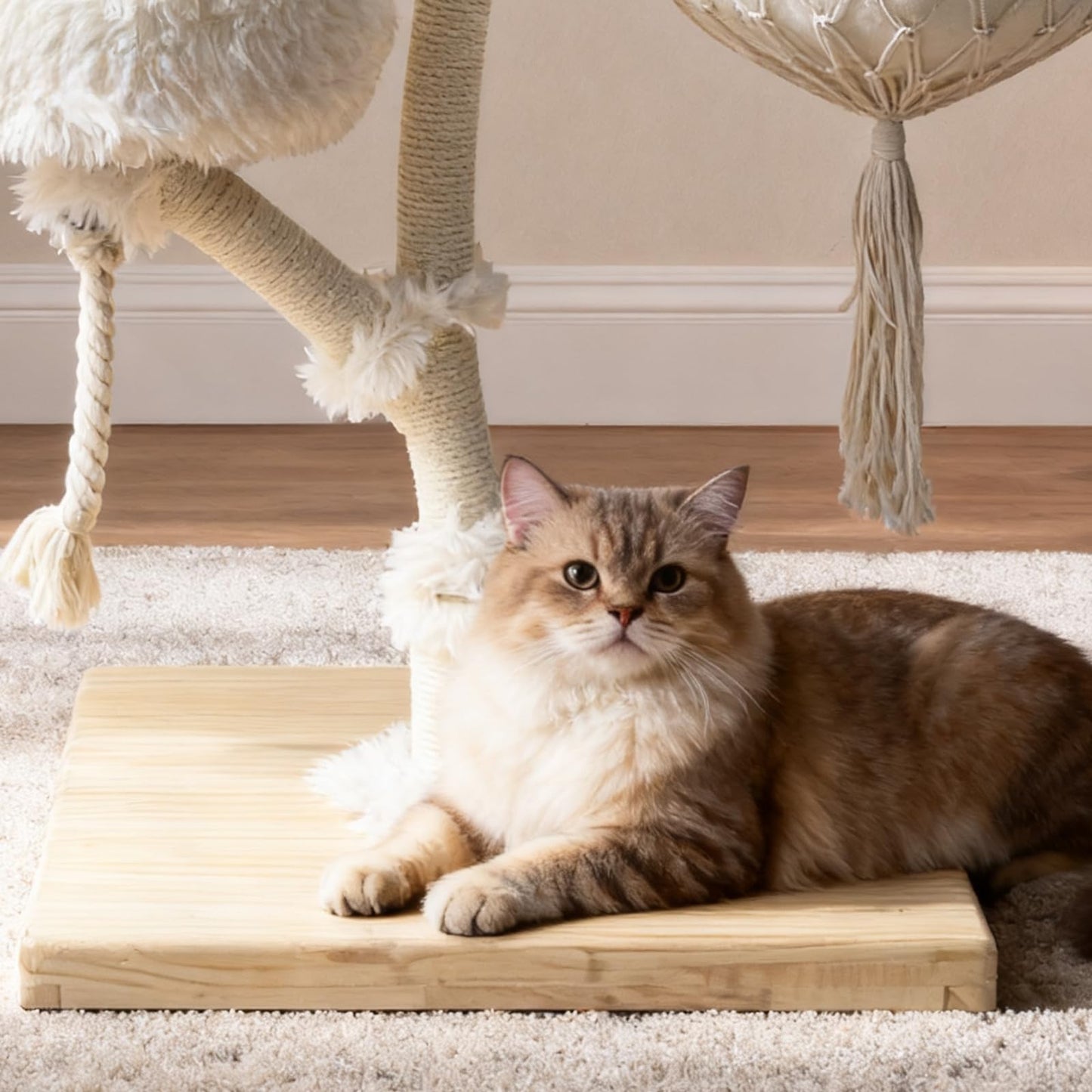 Multi Level Cat Tree Tower Sisal Scratcher Hammock Condo