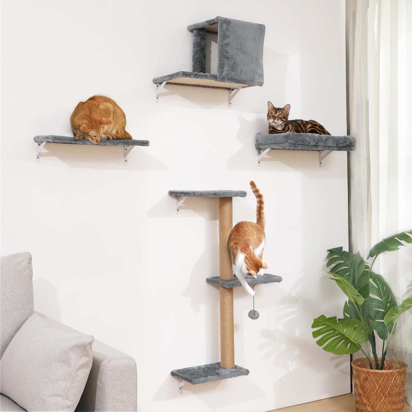 Wall Mounted Cat Shelves Climbing Set Scratcher Wood