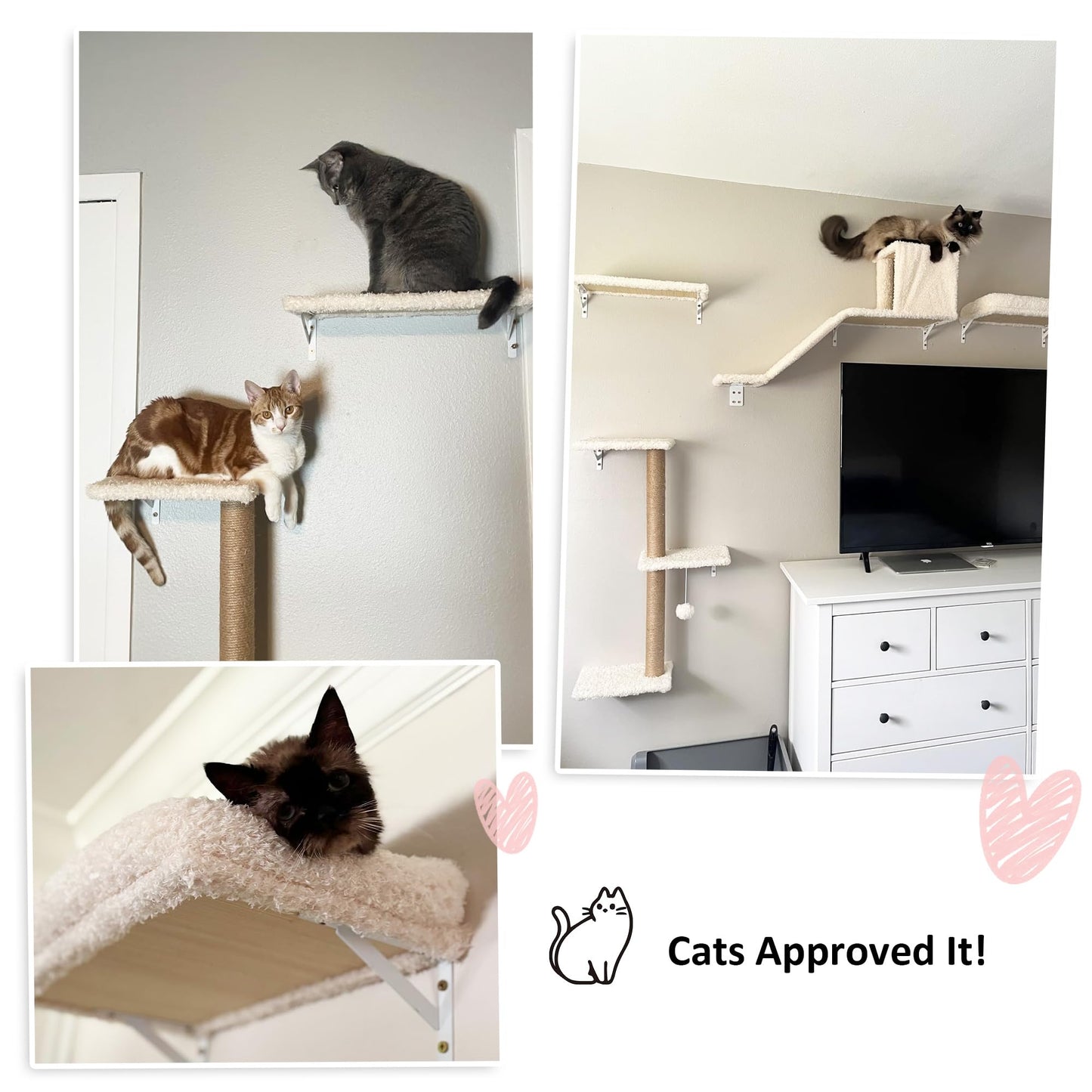 Wall Mounted Cat Shelves Climbing Set Scratcher Wood