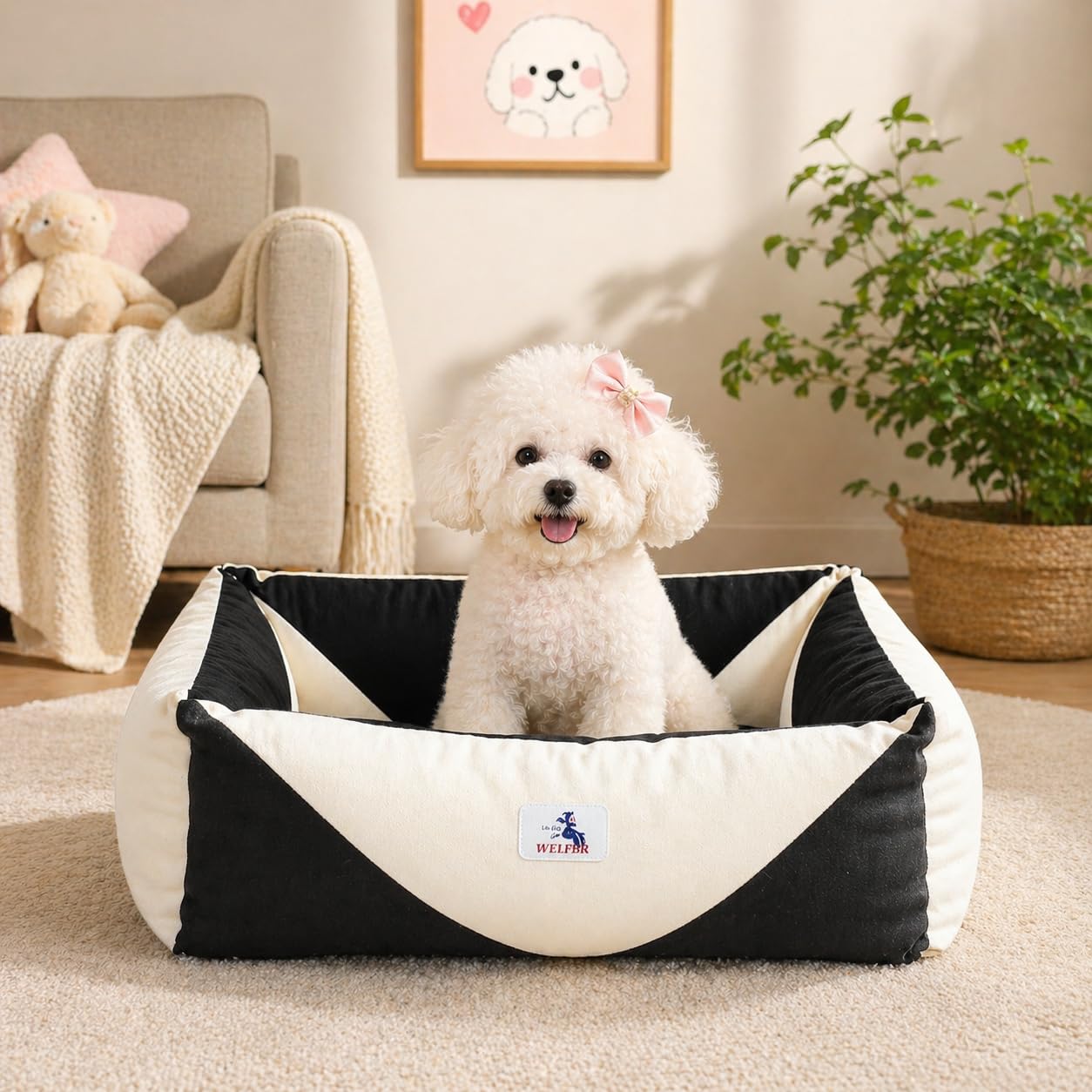 Welfibr Cotton Canvas Dog Bed, Cute Dog Beds, Puppy Bed with Washable Removable Cover, Durable 290 GSM Cotton Anti-Chewing Pet Bed with Anti-Slip Bottom