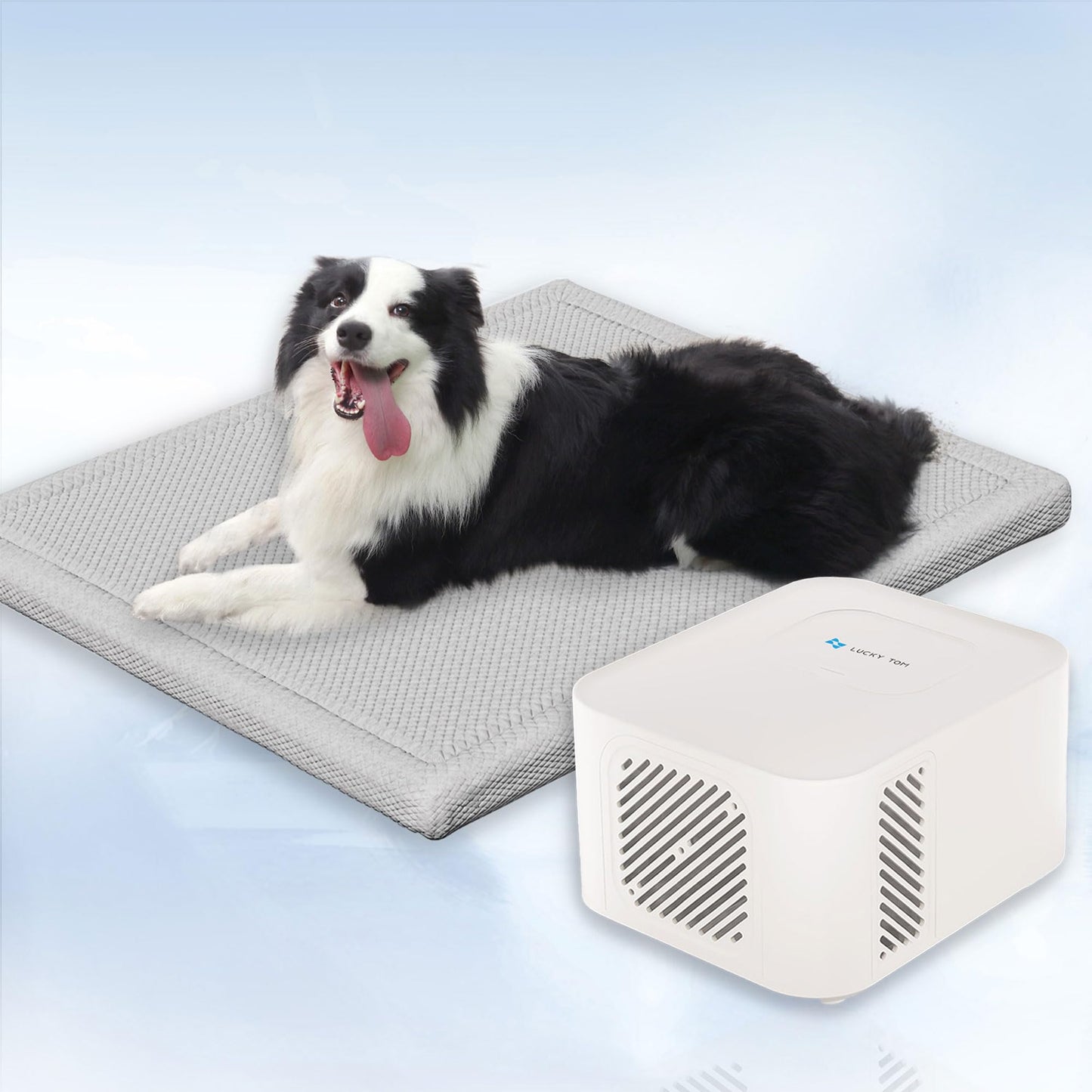 Cooling Water Pet Mat Dog Cat Crate Pad Washable