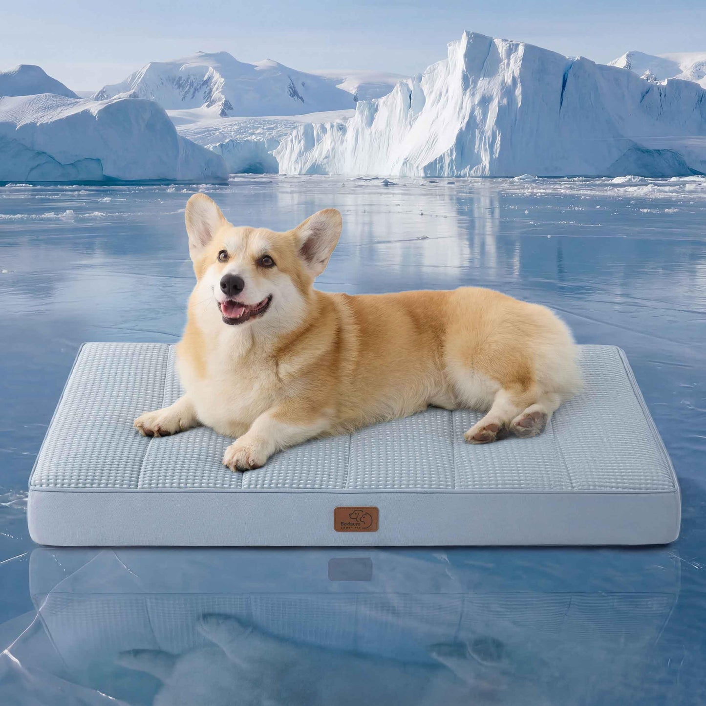 Orthopedic Foam Dog Bed Egg Crate Washable Cover Mat