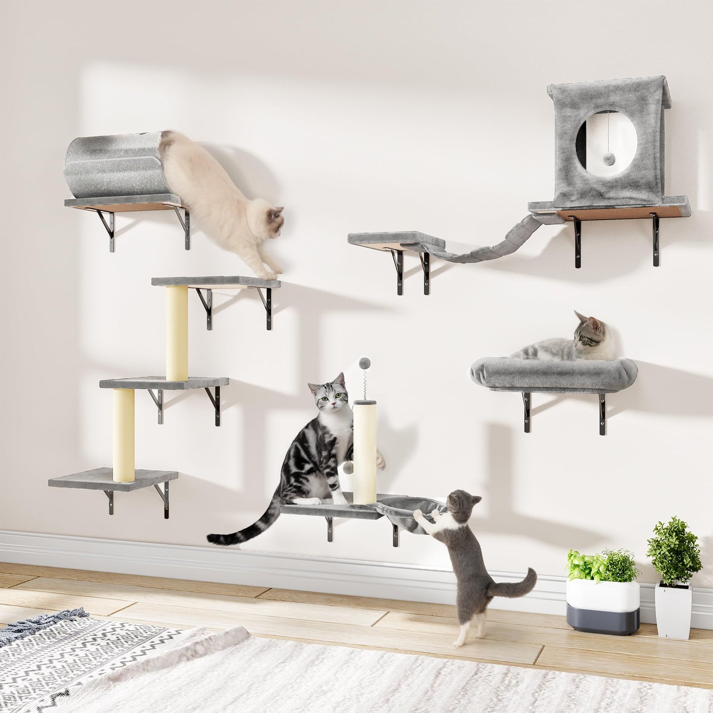 Wall Mounted Cat Shelves Furniture Set Climbing Perches