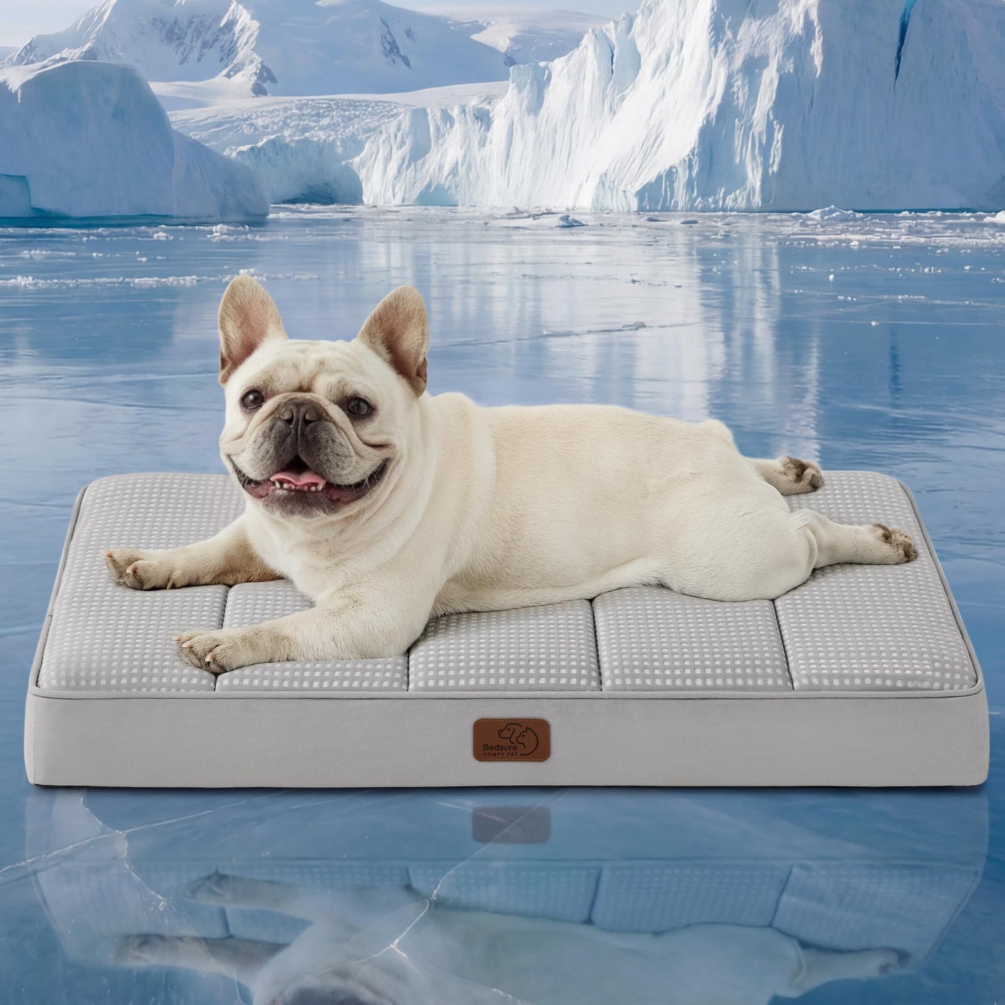 Orthopedic Foam Dog Bed Egg Crate Washable Cover Mat