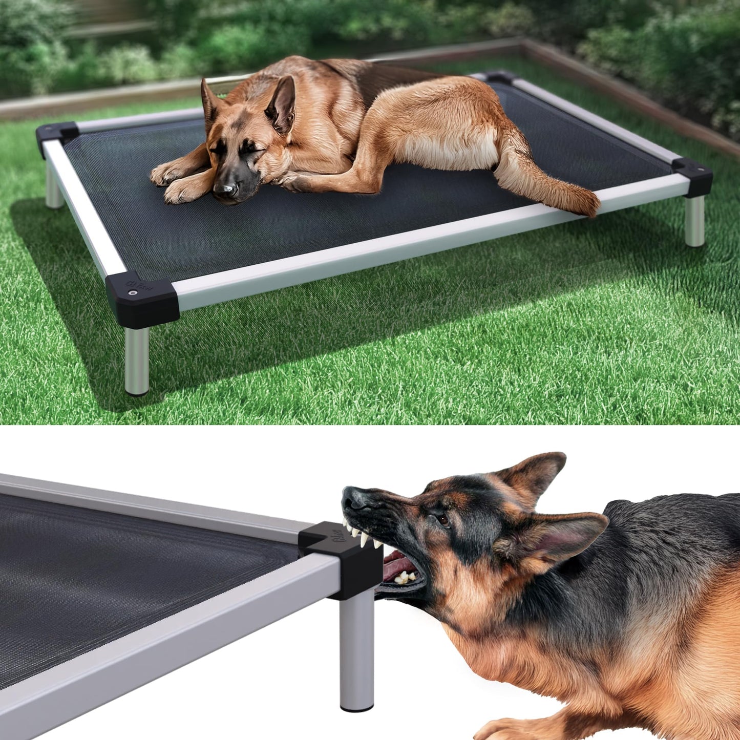 Chew Proof Elevated Dog Bed Raised Cooling Cot Waterproof