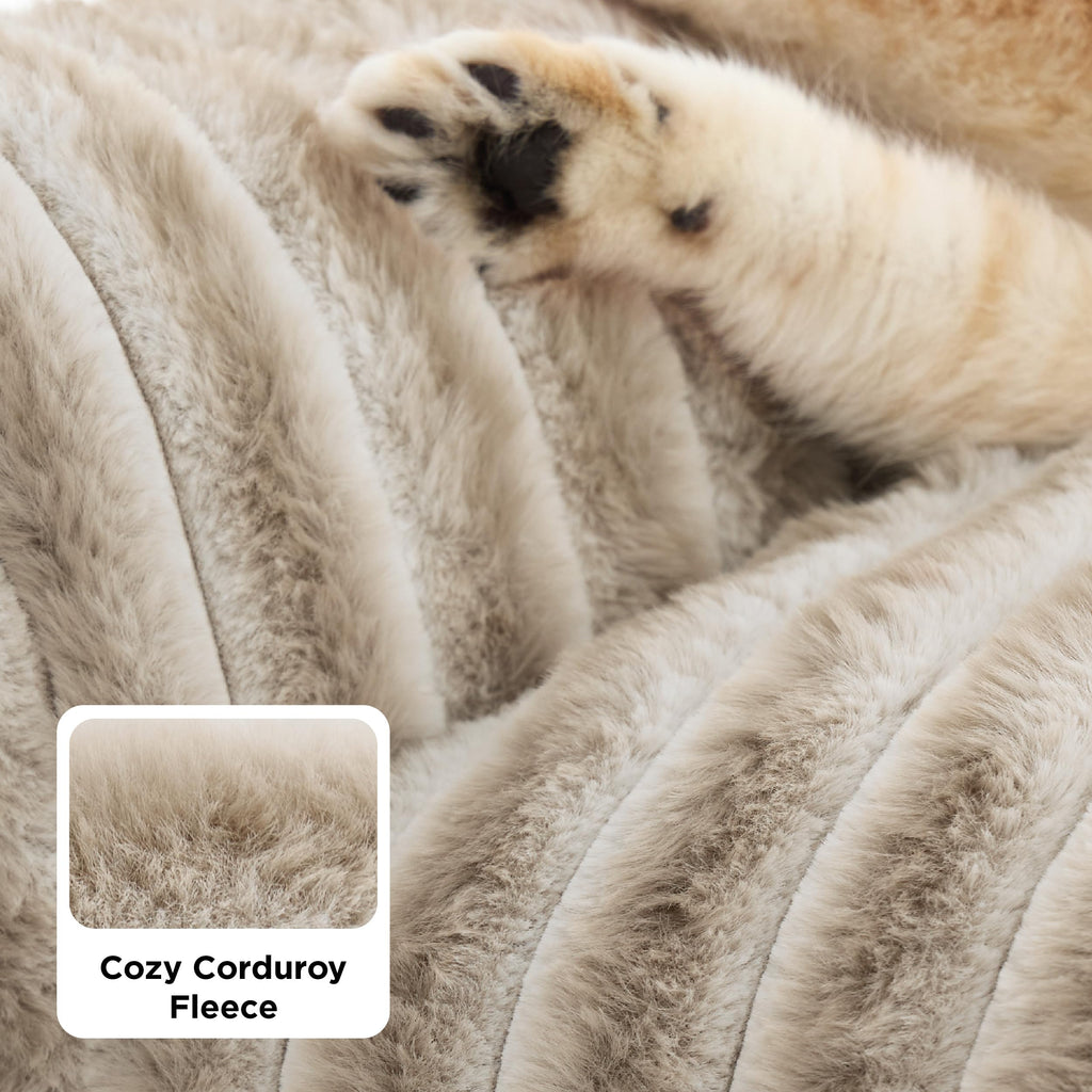 Bedsure Cute Pet Couch - Fluffy Cat Sofa with Premium Soft Corduroy Fleece, Fuzzy Pet Couch Bed with Removable Washable Cover, Supportive Cat Chair