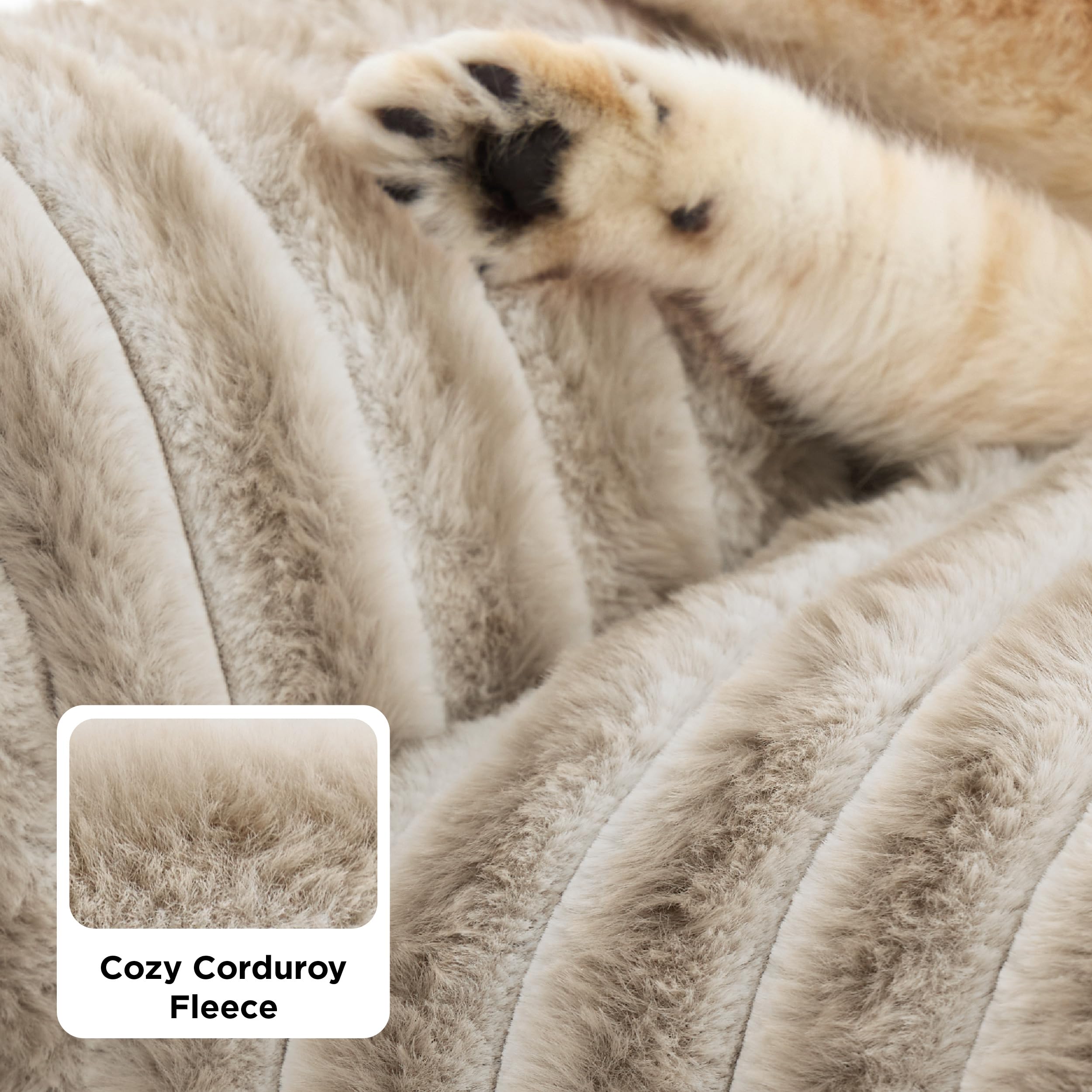 Bedsure Cute Pet Couch - Fluffy Cat Sofa with Premium Soft Corduroy Fleece, Fuzzy Pet Couch Bed with Removable Washable Cover, Supportive Cat Chair