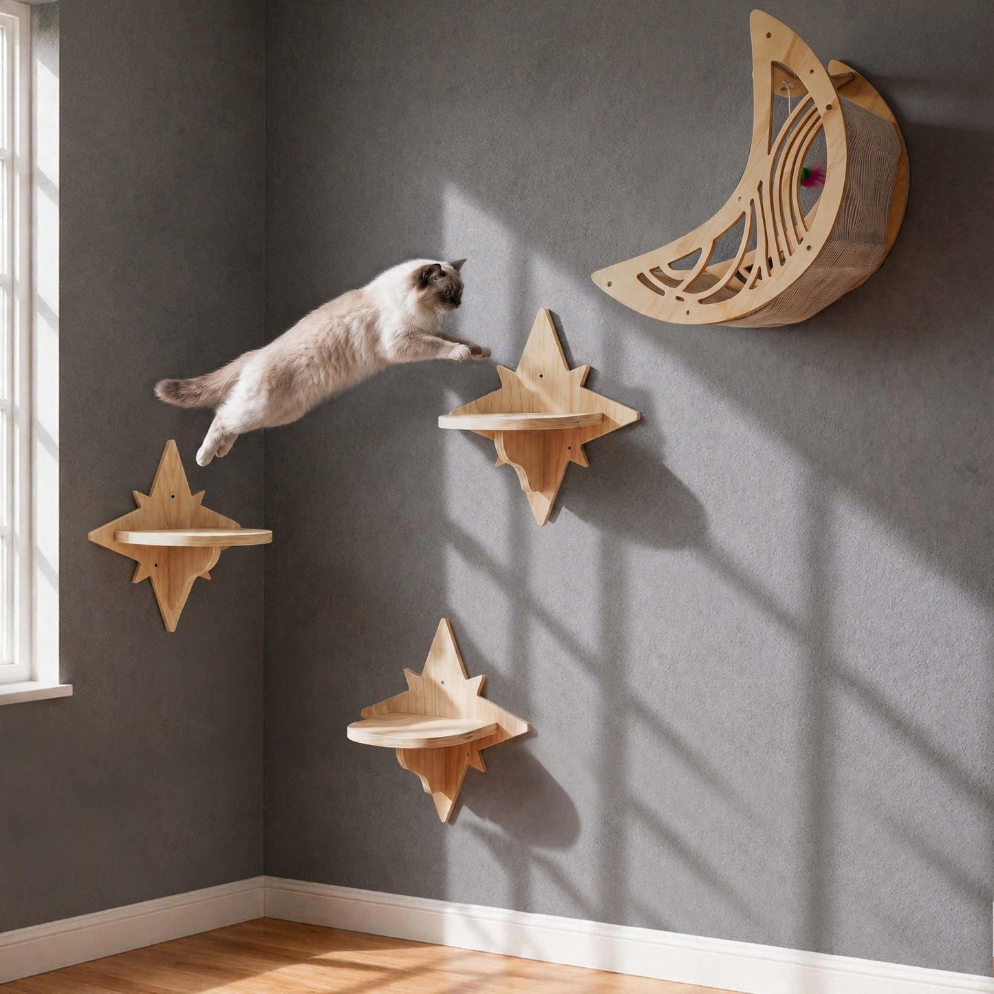Catails CWS for Indoor Cat - Moon&Star
