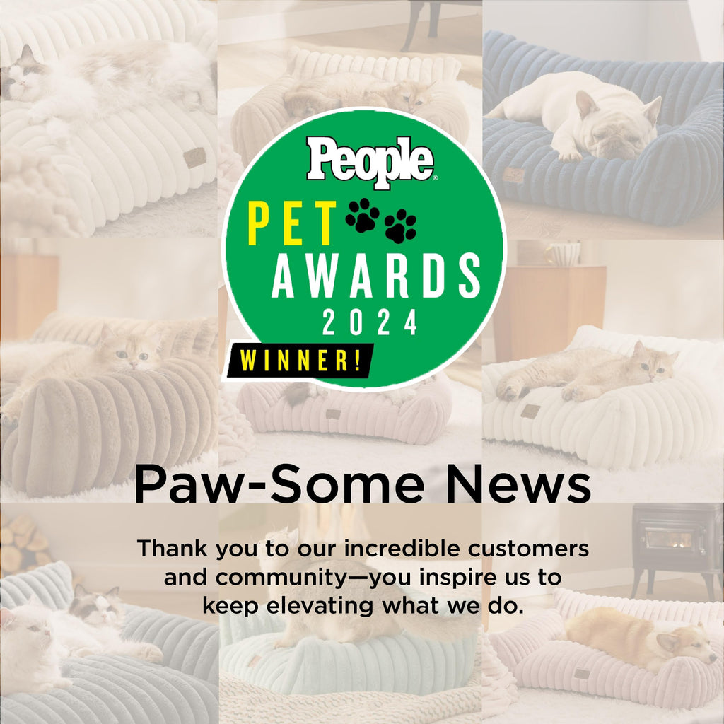 Bedsure Cute Pet Couch - Fluffy Cat Sofa with Premium Soft Corduroy Fleece, Fuzzy Pet Couch Bed with Removable Washable Cover, Supportive Cat Chair