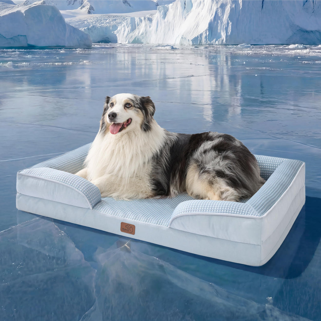 Bedsure Orthopedic Dog Bed - Washable Bolster Dog Cat Sofa Beds, Supportive Foam Pet Couch Bed with Removable Washable Cover, Waterproof Lining and Nonskid Bottom