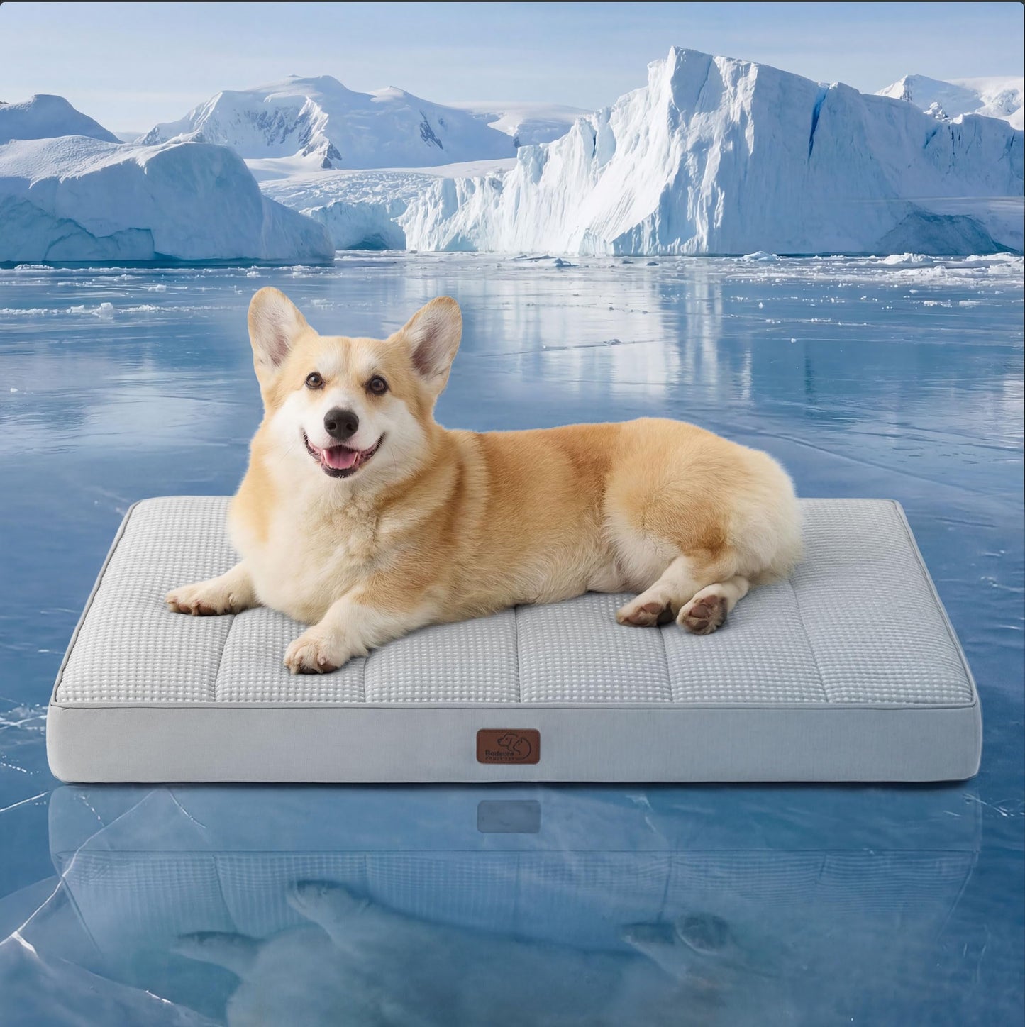 Orthopedic Foam Dog Bed Egg Crate Washable Cover Mat