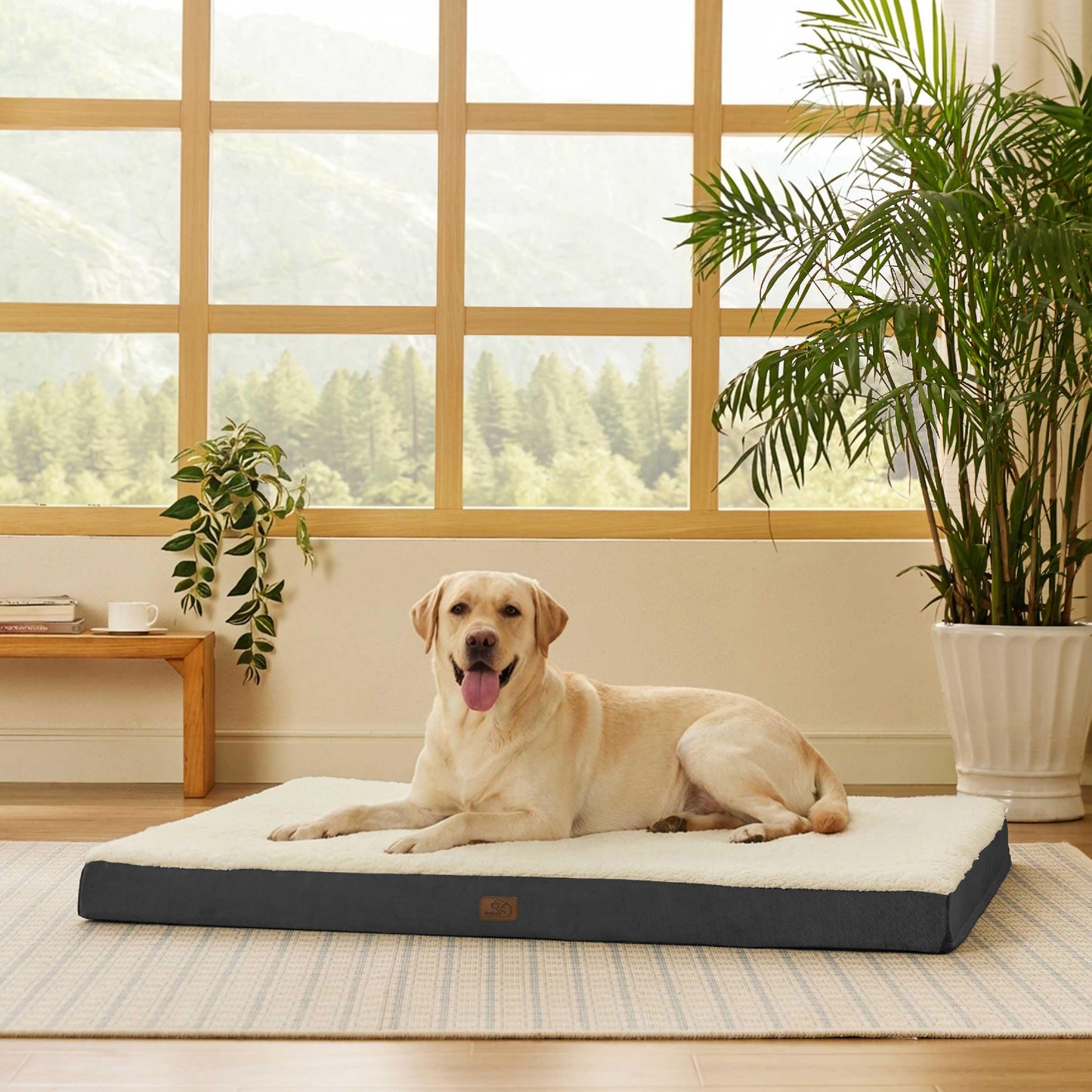 Orthopedic Foam Dog Bed Egg Crate Washable Cover Mat